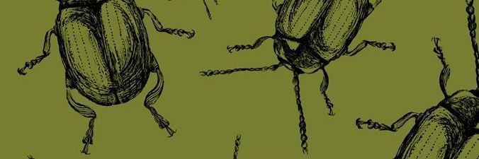 jefe potipoua banner