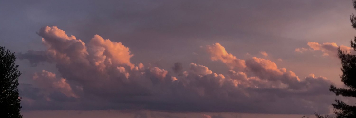 Marielle Cabe banner