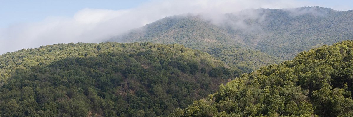 LEAntropoceno's profile banner image