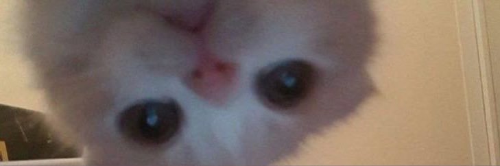 Clau banner