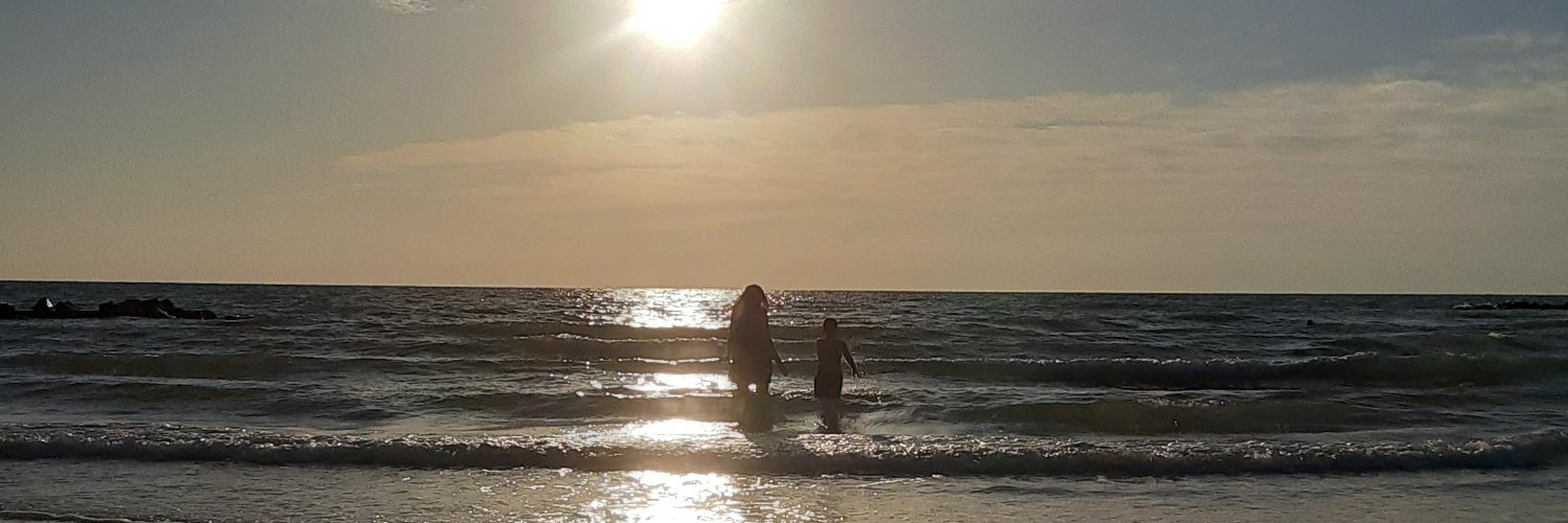 SaltWaterLily2's profile banner image