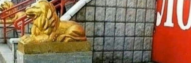 Playa y tranquilidad banner