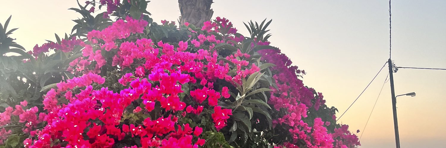 sshannonrooney's profile banner image