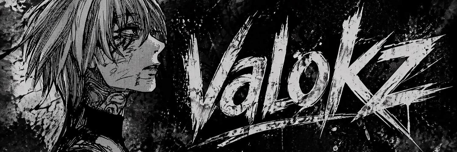 valokz banner