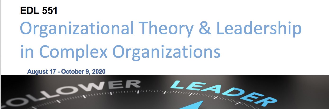 OrgTheoryFall2020 banner