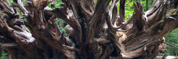 01EMB Profile Banner