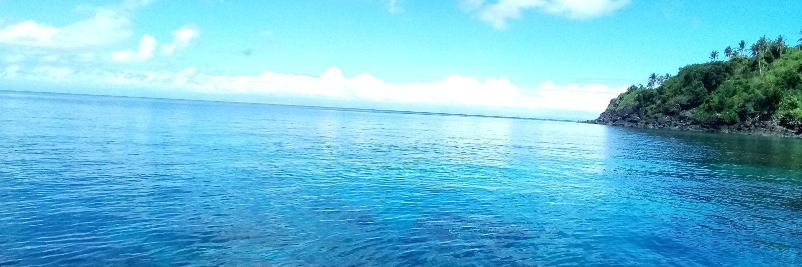 •~•mari jo•~• banner