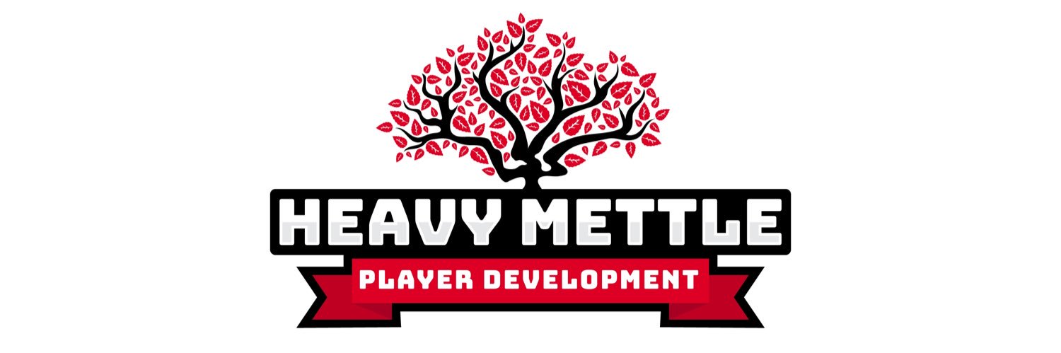 Heavy Mettle Player Development banner