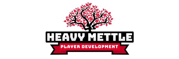 MettlePlayerDev Profile Banner