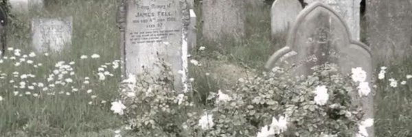 darlingdecay__ Profile Banner