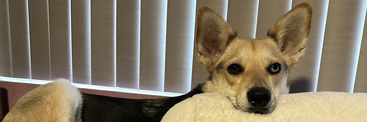 oG_Princess_Ri's profile banner image