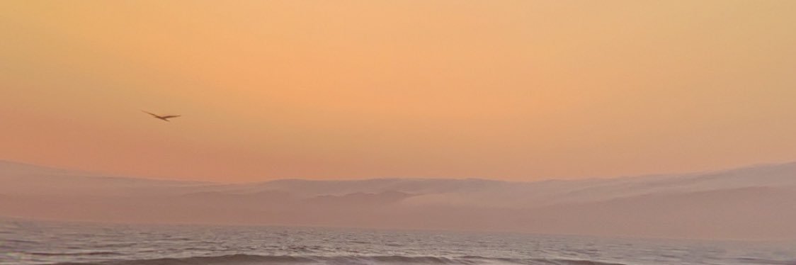 portvans's profile banner image