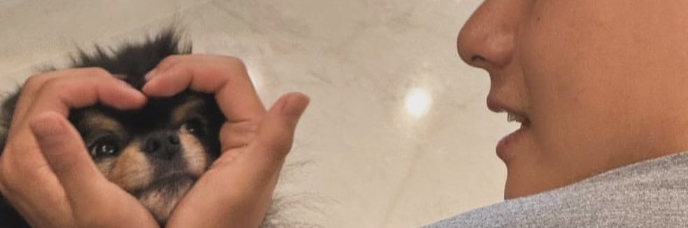 𖥔⋱러코✩.*˚ banner