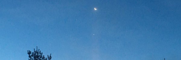 xenparo Profile Banner
