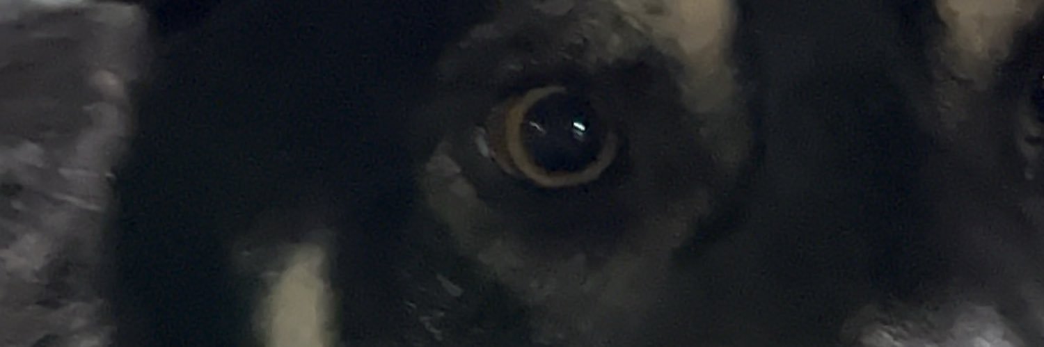Taksi3r's profile banner image