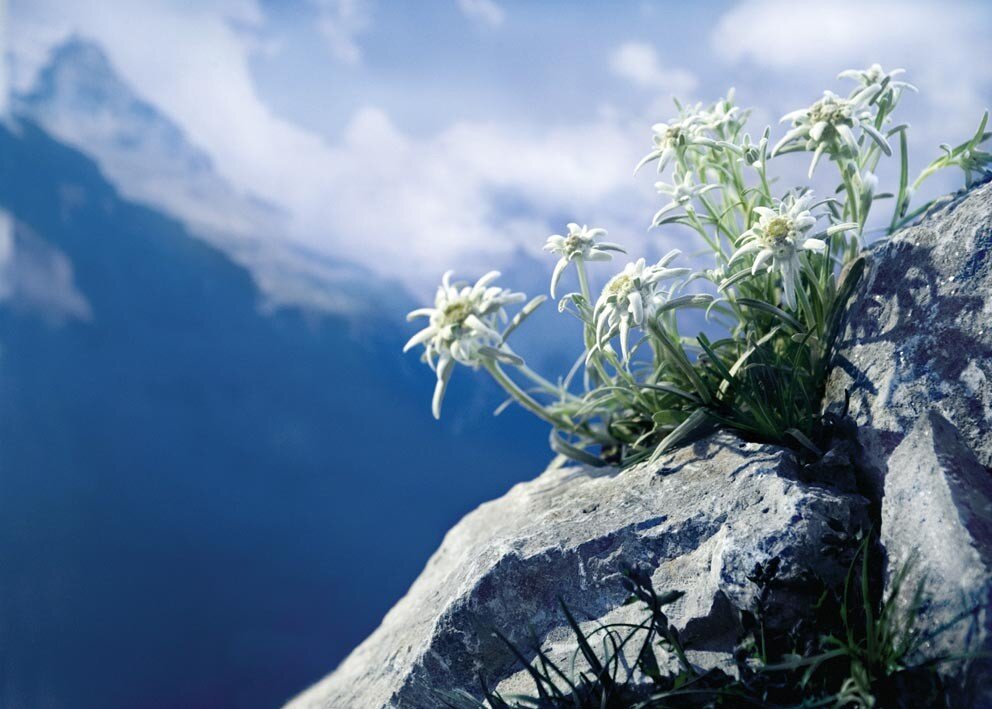 montjohn's profile banner image
