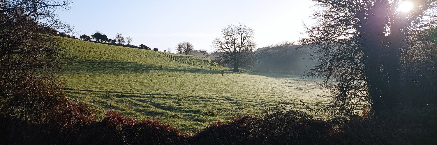 Gordon Murray banner