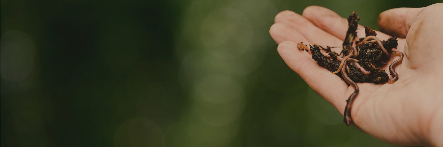 ModernWormCo's profile banner image