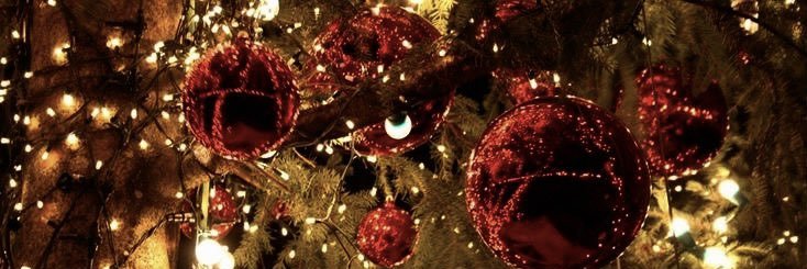 TahneeToft's profile banner image