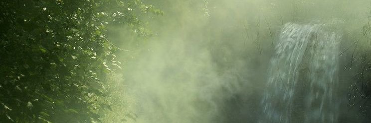 kellisew's profile banner image