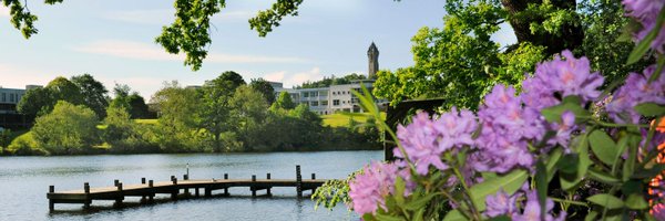 msc_hv Profile Banner