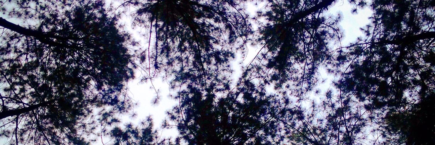 RianAnwr's profile banner image