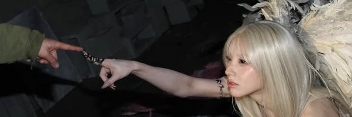 𝐝𝐯𝐝 ★ 🦭☆ banner