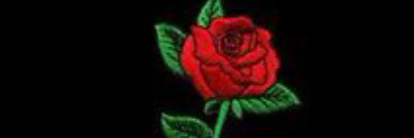 SAIF banner