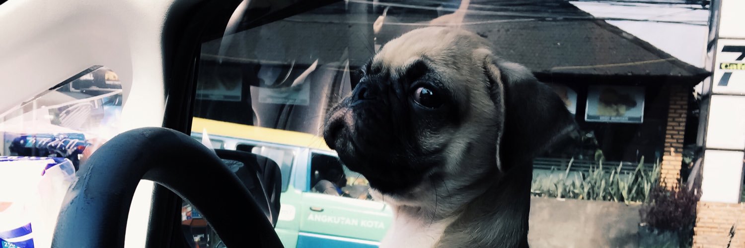 Hanang P Paranta banner