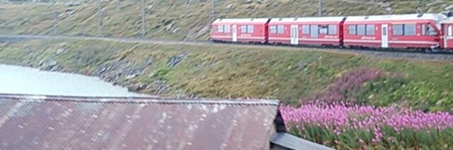 kapibarya's profile banner image