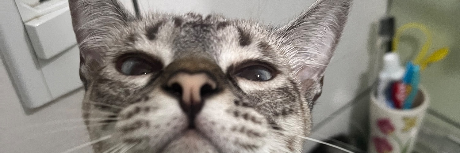 itsmezuco's profile banner image