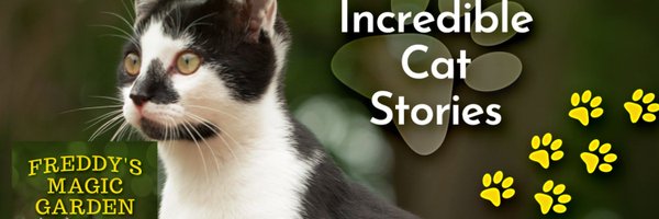 FreddyKitty Profile Banner