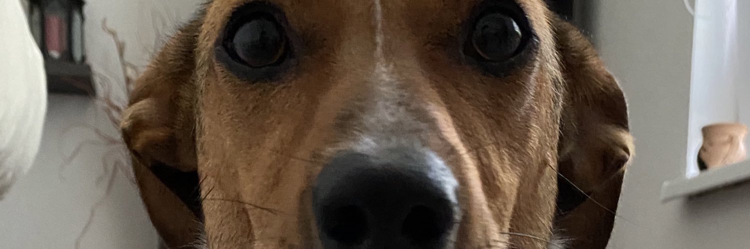 ptrkmrcnk's profile banner image