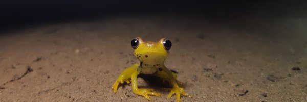 ChrisVannLavin Profile Banner