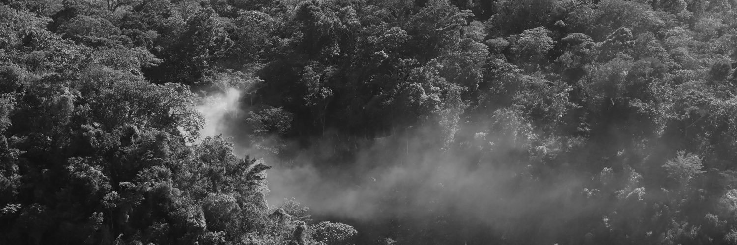 Oscar Alejandro Pérez-Escobar banner