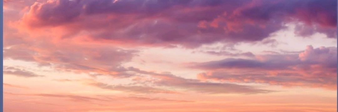 Samira43056173's profile banner image