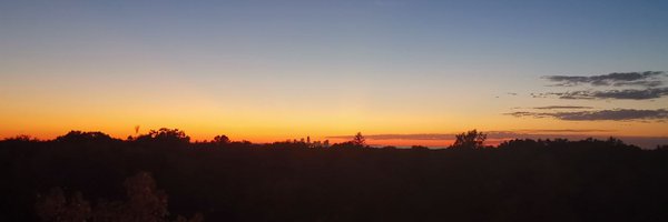 PengfeiLi0606 Profile Banner