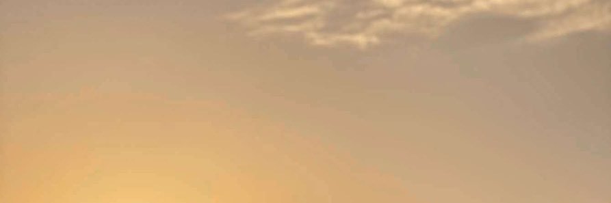 aroseng225's profile banner image