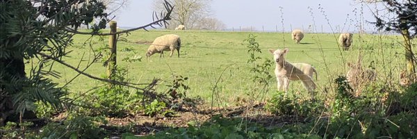 susiesooze Profile Banner