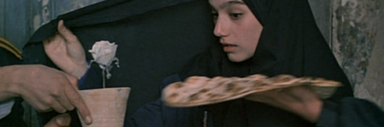 санечка banner