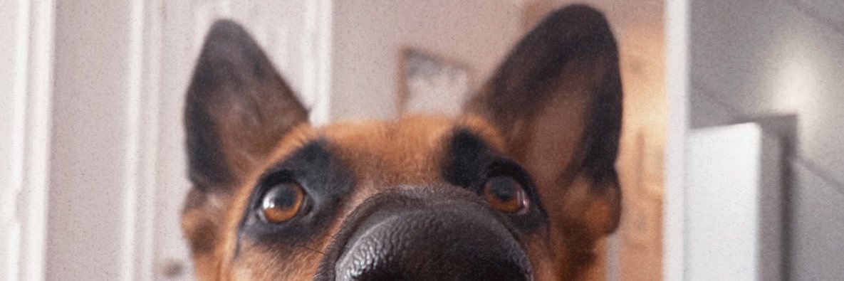 julissa ♡ banner