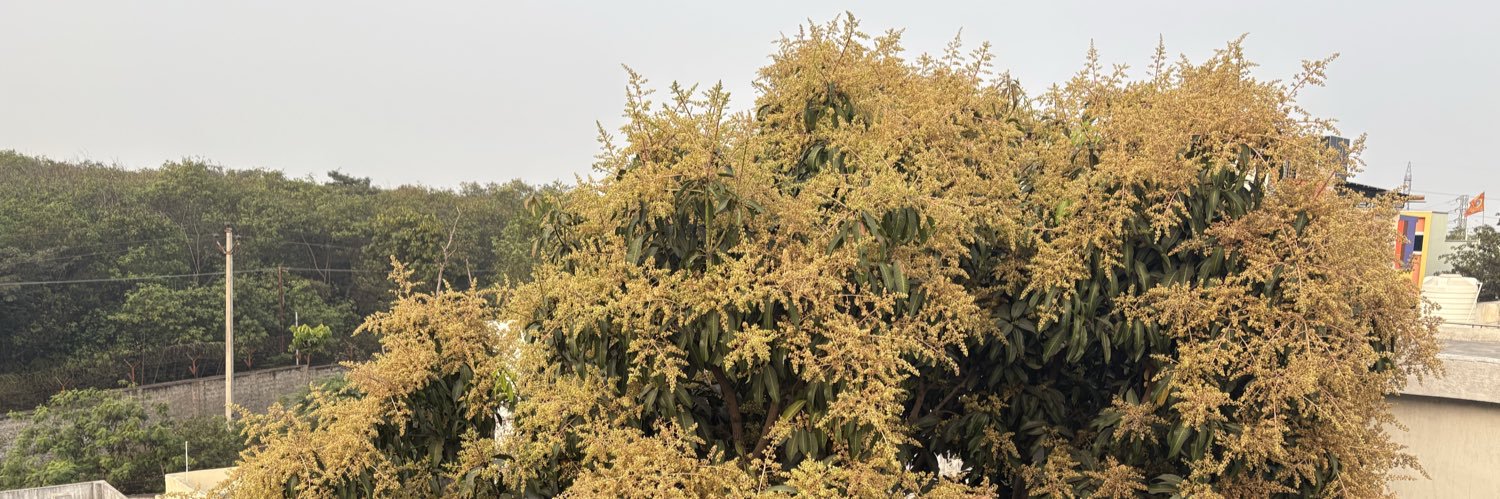 hakuna matata banner