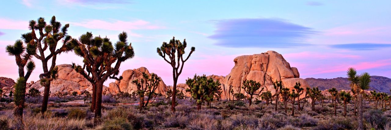 Supervisor Dawn Rowe banner