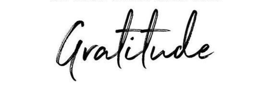 Rashida25658229's profile banner image
