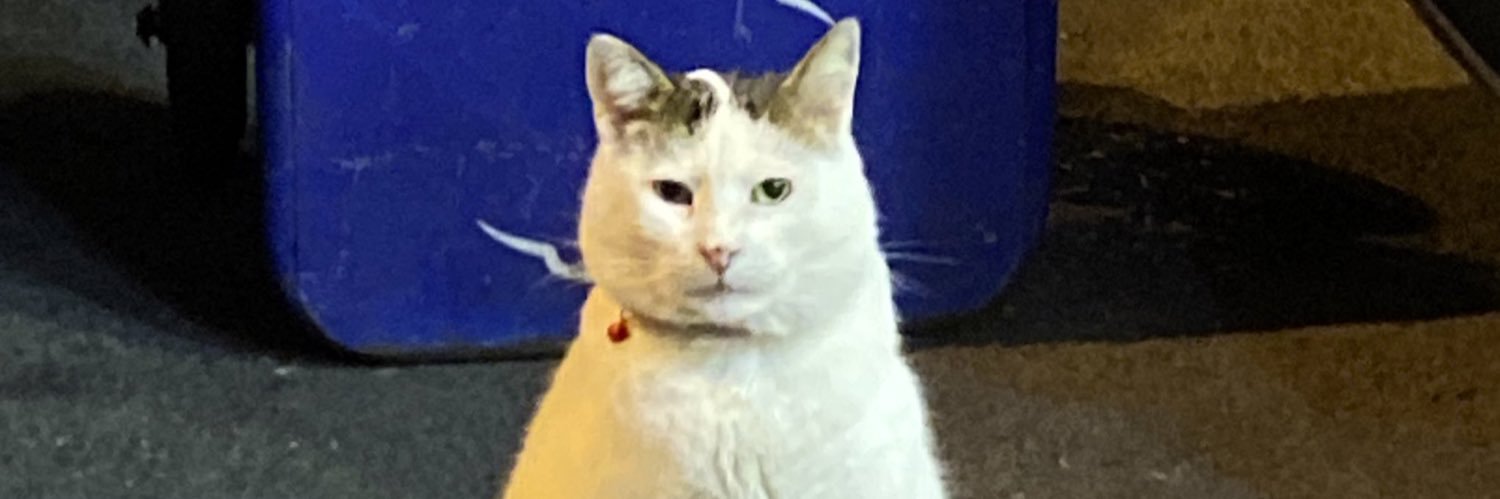 teekaaisback's profile banner image