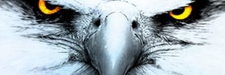 ceekay92's profile banner image