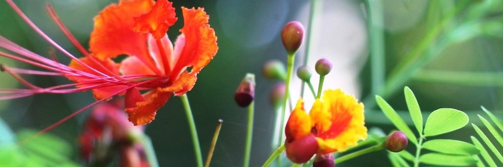 ftman_23's profile banner image