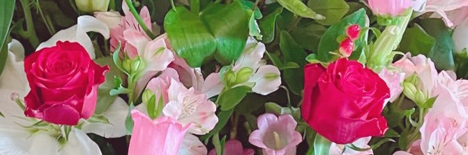 natulflower's profile banner image