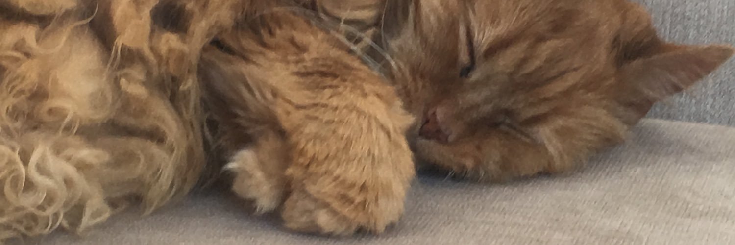 gemma_bubb's profile banner image