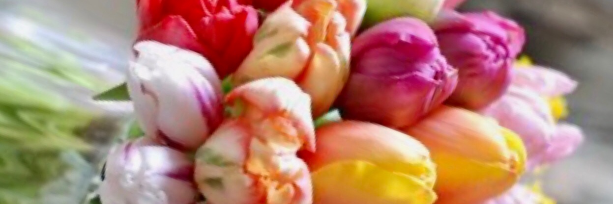 ベビーブルー banner